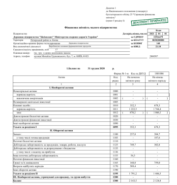 2020 year 1st, 2nd. Financial report of a small business entity