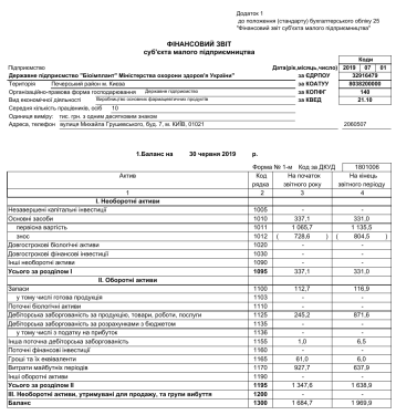 2019 1 and a half years 1st, 2nd. Financial report of a small business entity
