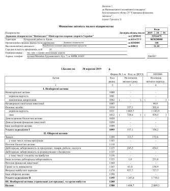 2019 9 months 1st, 2nd. Financial report of a small business entity