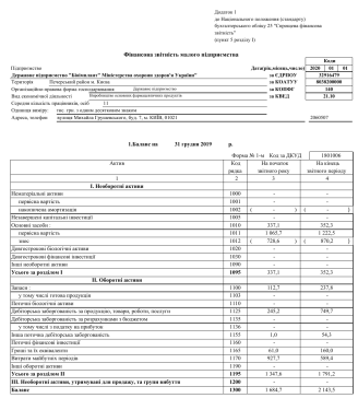 2019 year 1st, 2nd. Financial report of a small business entity