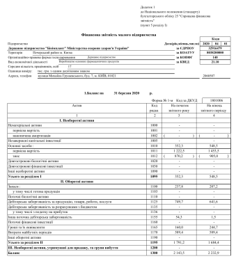Фінансова звітність за 2023 рік
