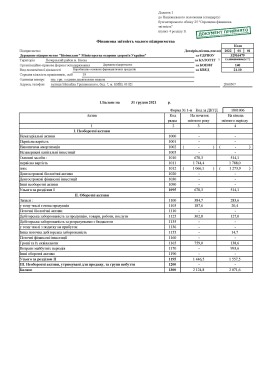 2021 рік 1-м, 2-м. Фінансовий звіт суб’єкта малого підприємництва