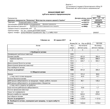 2017 1 and a half years 1st, 2nd. Financial report of a small business entity