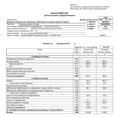 2017 9 months 1st, 2nd. Financial report of a small business entity
