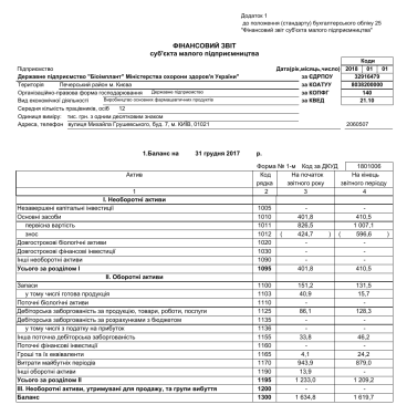 2017 year 1st, 2nd. Financial report of a small business entity