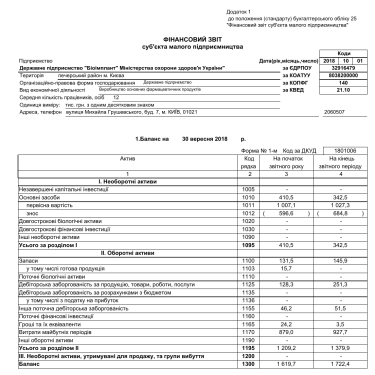 2018 9 months 1st, 2nd. Financial report of a small business entity