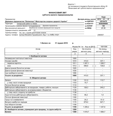2018 year 1st, 2nd. Financial report of a small business entity